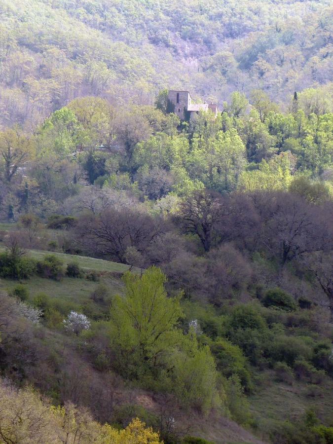 Torre Di Pornello公寓 外观 照片